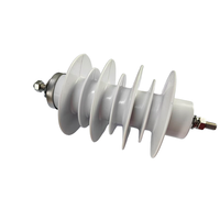 Parafoudre moulé MHD 30 kV pour la protection des transformateurs de distribution industriels de grande capacité