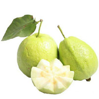 Premium Natuurlijk Sugava Fruitpoeder & Sappoeder Voedingsmiddelkwaliteit Oplosmiddelextractie Fruitextract met Vitamine
