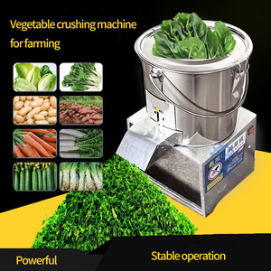 Electric <b>Vegetable</b> Crushing <b>Machine</b> 220V 20kg/H Stainless Steel For Farming Poultry Feeding - Product Image 1