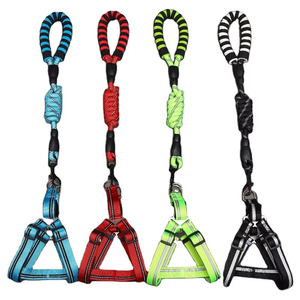 ชุดสายจูงสุนัข EVA ชุดสายจูงสุนัขไนล่อนทำจากโฟมผ้าไนลอนสะท้อนแสงชุดสายจูงสุนัขปีนหน้าผา - Product Image 5