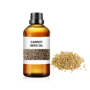 Hot Sale Carrot Seed Oil Essential Moisturizing Base Natural Organic Hair Certified Suppliers 100% In Bulk for Body Massage Spa