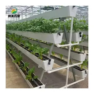 Sistema di coltivazione idroponica di coltivazione fuori suolo ad alta efficienza della serra agricola