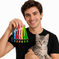 Collier personnalisé multicolore en nylon pour chien, chiot et chat, avec décoration en dentelle, robuste, pour l'entraînement, accessoire pour animaux de compagnie, à ouverture rapide, rembourré, haute qualité