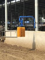 Brosse automatique pour vaches en vente chaude pour les équipements d'élevage laitier