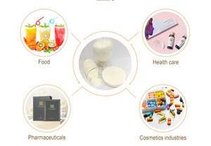 Julyherb 150gカルシウムコラーゲン加水分解剤OEM工場プライベートラベル高さ60個カプセル安全効果的天然植物エキス - Product Image 3