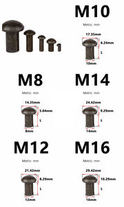 Rivets en fer M8 M10 M12 M14 M16 M18 M20 GB867 à tête demi-ronde, rivets pleins à <span class=keywords><strong>frapper</strong></span>, en <span class=keywords><strong>acier</strong></span> au carbone, longueur de tige 10mm-110mm - Product Image 4
