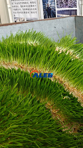 Automatic Vertical Farming Container Hydroponic Aeroponic Plant Grow <strong>System</strong> with Motor Factory-Supply for <strong>Efficient</strong> Growing - Product Image 5