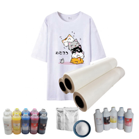 Film DTF Qinyu de haute qualité, pelable à chaud, 60 cm, rouleau DTF A3 33 cm, brillant, double pelage à chaud, film PET pour imprimantes à jet d'encre.