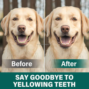 Aonai Suplemento Fábrica Dog Fresh Breath Breath Freshener para Cães Dag e gato Suplemento - Product Image 5