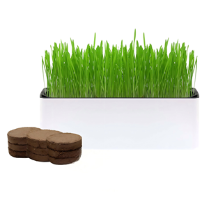 Jardinière écologique pour herbe à chat, pour usage intérieur |   Kit de jardinage rectangulaire pour herbe à chat |   Décoration intérieure - Product Image 2