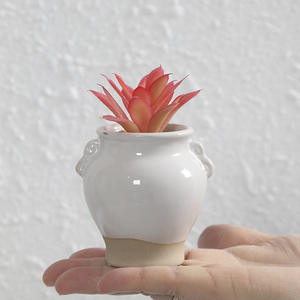 <span class=keywords><strong>Vaso</strong></span> <span class=keywords><strong>in</strong></span> Ceramica Fatto a Mano Minimalista per <span class=keywords><strong>Felci</strong></span> e Piante Succulente, Decorazione per Giardino e Scrivania - Product Image 4