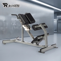 Banc d'extension dorsale ROSEN Fitness pour la musculation du bas du dos et du tronc en salle de sport commerciale