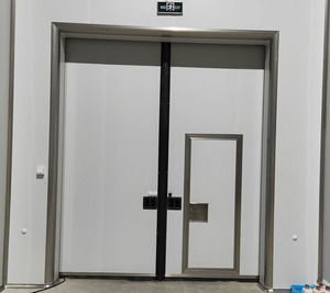 <span class=keywords><strong>Puerta</strong></span> Interior <span class=keywords><strong>de</strong></span> Acero <span class=keywords><strong>de</strong></span> Estilo Industrial Moderno para Hospitales y Consultorios - Product Image 2