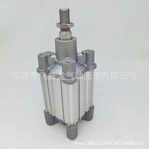 Cylindre pneumatique en aluminium Cp96 Sdb100 50 à double effet, tige simple, norme ISO - Product Image 2