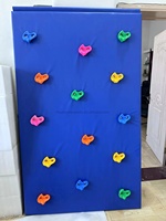 Precio de fábrica Niños Parkour Entrenamiento Deflector Equipo Escalada y salto Entrenamiento Escalada Pared para niños