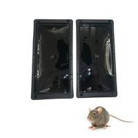 Vente en gros de colle solide super adhésive pour l'intérieur Piège à souris efficace pour le contrôle durable des rongeurs