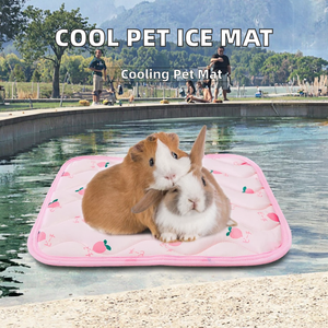 Almohadilla de refrigeración para mascotas pequeñas, alfombrilla transpirable para cama de hielo, manta para gatos, conejos, hámsteres, cobayas, calefacción - Product Image 2