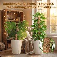 Poteaux de soutien flexibles en fibre de coco et fil d'aluminium pour plantes grimpantes – Fournitures de jardin en gros