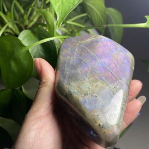 I cristalli a forma libera di <span class=keywords><strong>Labradorite</strong></span> Flash viola lucidato all'ingrosso stanno in pietra per la decorazione Feng Shui - Product Image 6