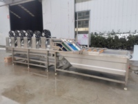 Ligne de lavage et de séchage automatique à grande échelle en acier inoxydable pour légumes, pour usine de déshydratation