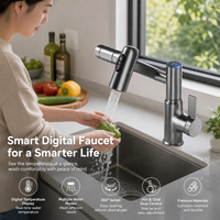 Robinet de cuisine en acier inoxydable 304 avec contrôle thermostatique, douchette extractible, finition brossée, mural, pour hôtels et hôpitaux