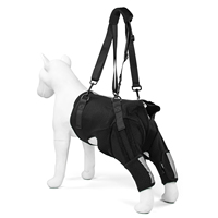 Attelle de soutien articulée pour pattes arrière de chien, pour blessures à la LCA et à la LCL, pour pattes arrière faibles, déchirures de la LCA, récupération post-chirurgicale et utilisation sur les escaliers