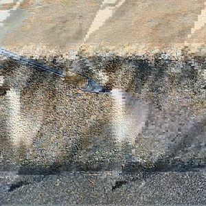 Buse rotative HANGGAO 200 bars à tête céramique pour nettoyeur haute pression de voiture - Product Image 2