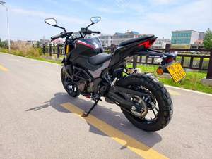 Haojue1 DR300 Moto Naked 300cc avec fourche avant dorée, moto sportive pour les trajets quotidiens, pour l'Allemagne et l'Europe - Product Image 4