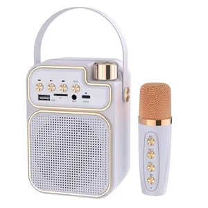 Mini caisson de basses portable haut-parleur karaoké avec lumière LED étanche USB Double microphone alimenté par batterie pour Home cinéma