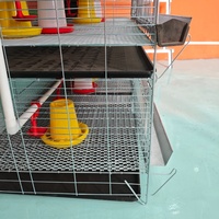 Cage à batterie à 3/4 niveaux, capacité de type H, galvanisée à chaud, élevage avicole, cage à poulets pour petits poussins, cage à poulets bébés