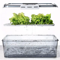 Meilleures ventes 2026 : Ensemble d'organisateurs de réfrigérateur en plastique avec boîte de rangement drainable, minuteur et couvercle – Bacs de rangement alimentaire pour cuisine