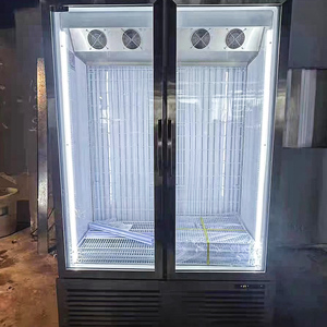 Réfrigérateur-<span class=keywords><strong>congélateur</strong></span> <span class=keywords><strong>vertical</strong></span> commercial -22°C, vitrine à température unique, refroidissement par ventilateur, 2 portes vitrées - Product Image 5