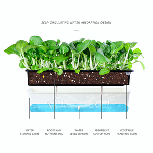Vente en gros Nouveau pot de jardin familial pour balcon Pot de jardin long carré étroit Pot de <span class=keywords><strong>fleur</strong></span> paresseux en plastique - Product Image 4