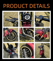 Scooter électrique Citycoco 1000W 48V 20Ah au lithium pour adultes - Modèle avec mini-siège, éclairage LED, freins à disque, autonomie de 50-60 km, affichage numérique