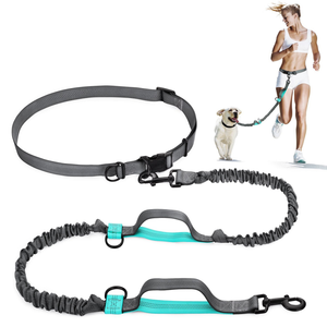Guinzaglio sportivo per cani da compagnia in Nylon regolabile a mano libera con fune di trazione elastica con marsupio - Product Image 1