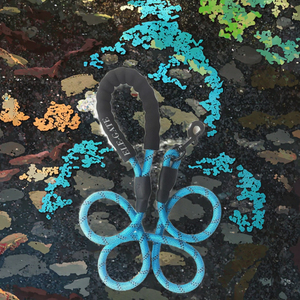 Wholesale High Quality Classic Colorful Durable Shock Absorbing Nylon <strong>Dog</strong> <strong>Leash</strong> with Customized Pattern and Color - Product Image 3