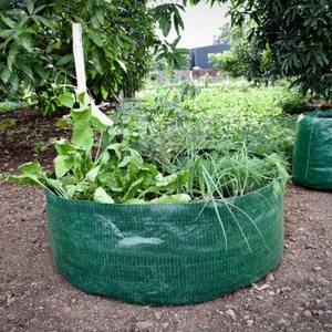 ถุงปลูกต้นไม้แบบใหม่ ผลิตจาก HDPE/LDPE ป้องกันรังสียูวี มีจำหน่ายหลายขนาด ทนทาน ใช้ซ้ำได้ สำหรับการปลูกพืชบนระเบียงและในโรงเรือน - Product Image 4