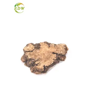 Chinese Angelica Szechwan Lovage Rhizome P.E Lovage Root Extract