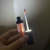 Vente en gros de gloss à lèvres à LED avec miroir, marque privée, gloss à lèvres sans cruauté, rouge à lèvres liquide mat, fournisseur