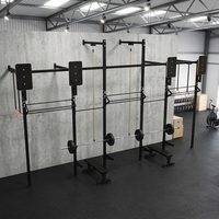 Station d'entraînement fonctionnelle murale avec barres de traction, barres de dips, bras de sécurité, crochets en J, en acier robuste pour la salle de sport et l'entraînement physique
