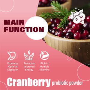 Wanita Vegan berbagai suplemen probiotik dengan dukungan kesehatan usus dan pembersih saluran urin Herbal yang kuat - Product Image 3