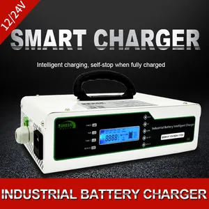 Chargeur automatique de batterie marine agm batterie externe 48 volts 3.2v 12v 24 volts 30 ampères lithium li ion chargeur de batterie