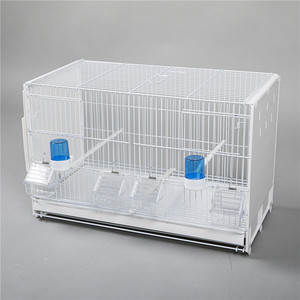 Cages à oiseaux en gros - Cages d'élevage pour perroquets, canaris, sérens et oiseaux hibiscus, structure en fil métallique, petite taille pour usage domestique - Product Image 3