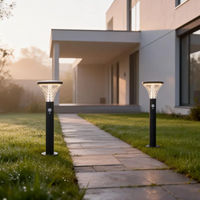 Lampe solaire LED de projection pour jardin extérieur, pelouse, villa, cour, allée, parc, décoration paysagère
