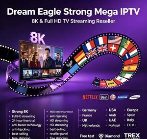Système de distribution de streaming <span class=keywords><strong>M3U</strong></span> pour revendeurs, <span class=keywords><strong>test</strong></span> 24H, streaming stable, Tech Dream Eagle Strong Diamond pour l'Europe - Product Image 5