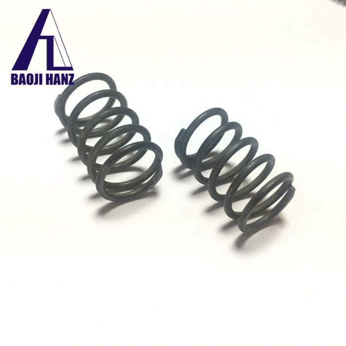 Titanium Coil Springs Compression Spring Price
