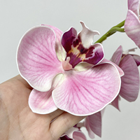 Anggrek Phalaenopsis Taiwan 9 Tangkai Real Touch Warna Pink Bean Paste Ungu Bunga Palsu Grosir