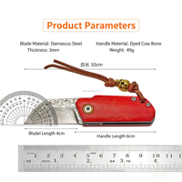 Mini couteau pliant de poche en acier Damas avec manche en os, porte-clés portable, petit couteau EDC pour le camping en plein air et la découpe de fruits