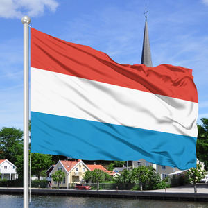 Livraison rapide du drapeau du monde personnalisé de haute qualité personnalisé 3 * 5ft coloré anti-fading anti-UV drapeau du <span class=keywords><strong>Luxembourg</strong></span> - Product Image 2