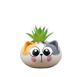 <span class=keywords><strong>Maceta</strong></span> <span class=keywords><strong>de</strong></span> cerámica con <span class=keywords><strong>forma</strong></span> <span class=keywords><strong>de</strong></span> <span class=keywords><strong>gato</strong></span> para decoración <span class=keywords><strong>de</strong></span> escritorio, <span class=keywords><strong>maceta</strong></span> creativa <span class=keywords><strong>de</strong></span> animales <span class=keywords><strong>de</strong></span> dibujos animados para decoración <span class=keywords><strong>de</strong></span> escritorio - Product Image 5